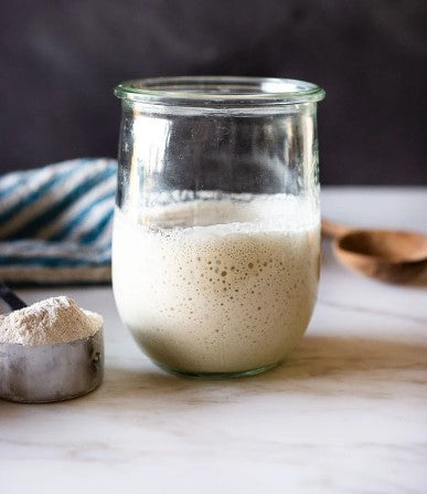 Sourdough Starter